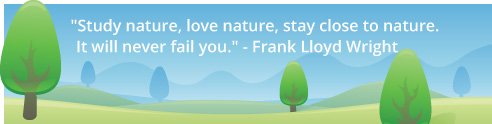 Frank Lloyd Wright quote with trees